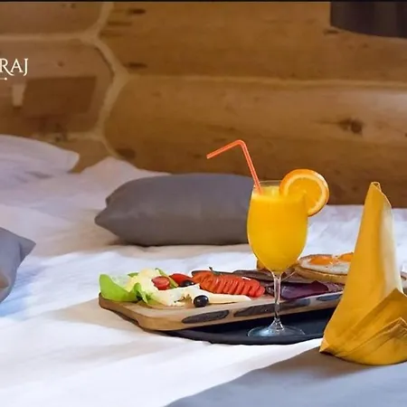 酒店 Emrovic Raj 4*