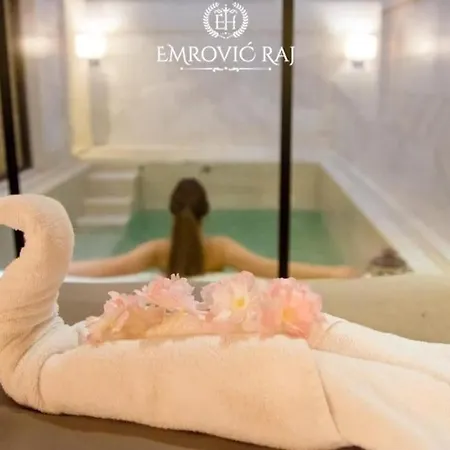 酒店 Emrovic Raj 4*