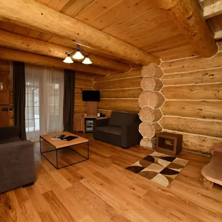 酒店 Emrovic Raj 4*