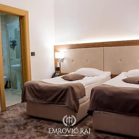 Emrovic Raj Hotel 4*