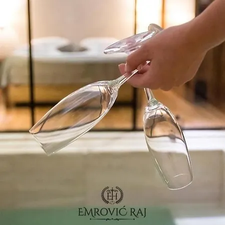 Emrovic Raj 酒店 新帕扎尔