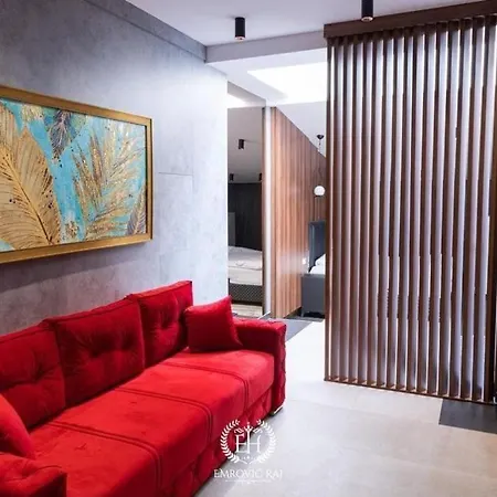 酒店 Emrovic Raj 新帕扎尔