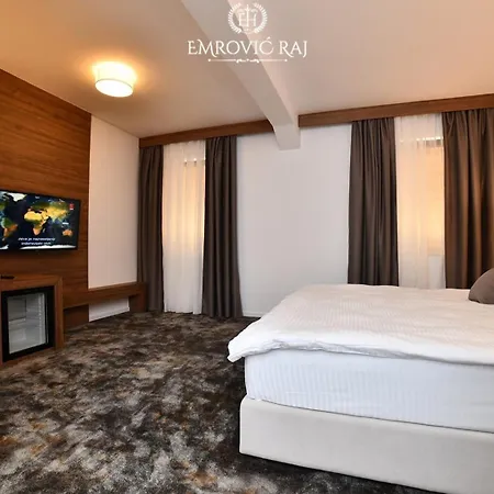 酒店 Emrovic Raj