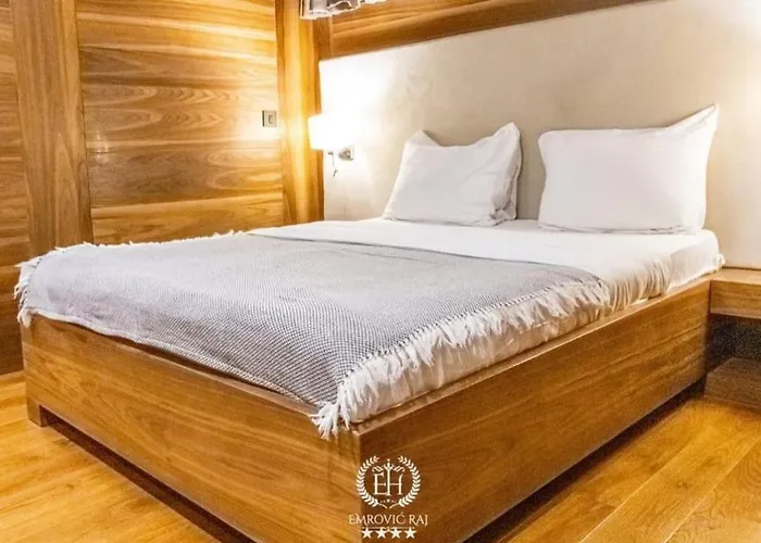 Hotel Emrovic Raj